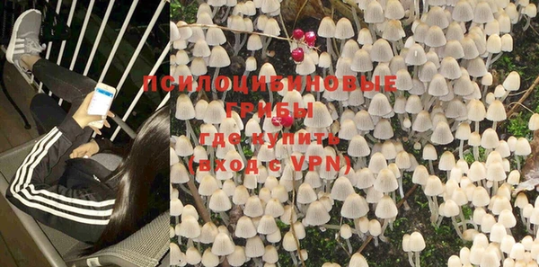 ALPHA PVP Майский