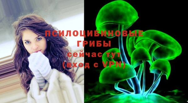 дурь Магас