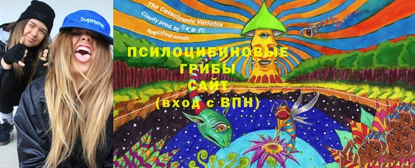 дурь Магас