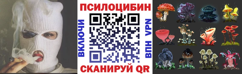 Псилоцибиновые грибы мицелий  mega маркетплейс  Оренбург  цена наркотик 