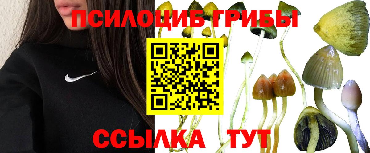 МАРИХУАНА Оренбург