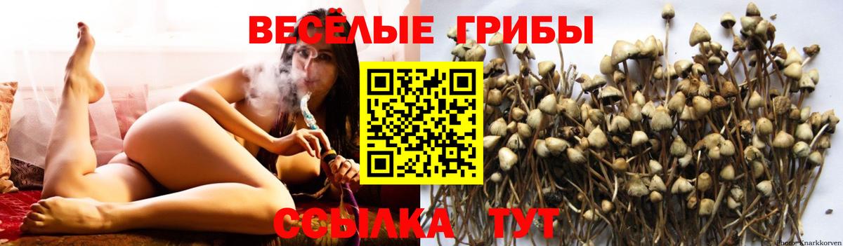 Галлюциногенные грибы GOLDEN TEACHER  Вход с VPN  Оренбург 